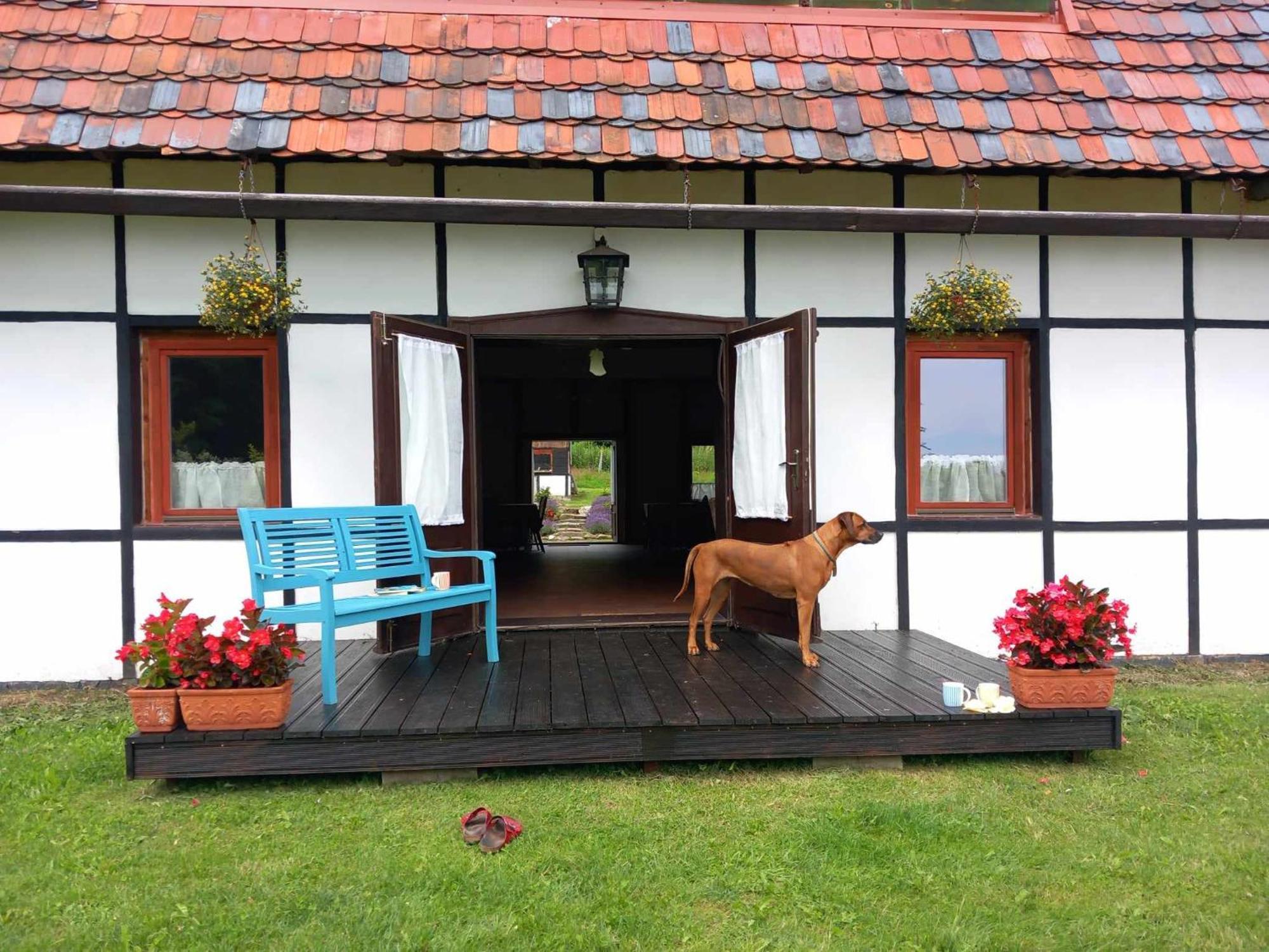 Austeria Staniszow Villa Jelenia Góra Eksteriør bilde